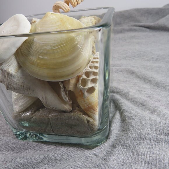 REAL Sea Shells in a Glass Square Vase and sand #12 - Picture 7 of 11